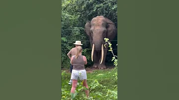 Yala National Park LankaTravelDiaries WildlifeAdventure YalaNationalPark 