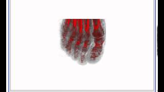 Information Greenfoot 3D MRI RAW data Viewer News