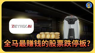 ZETRIX | 跌停板？还是这群人会赚钱！