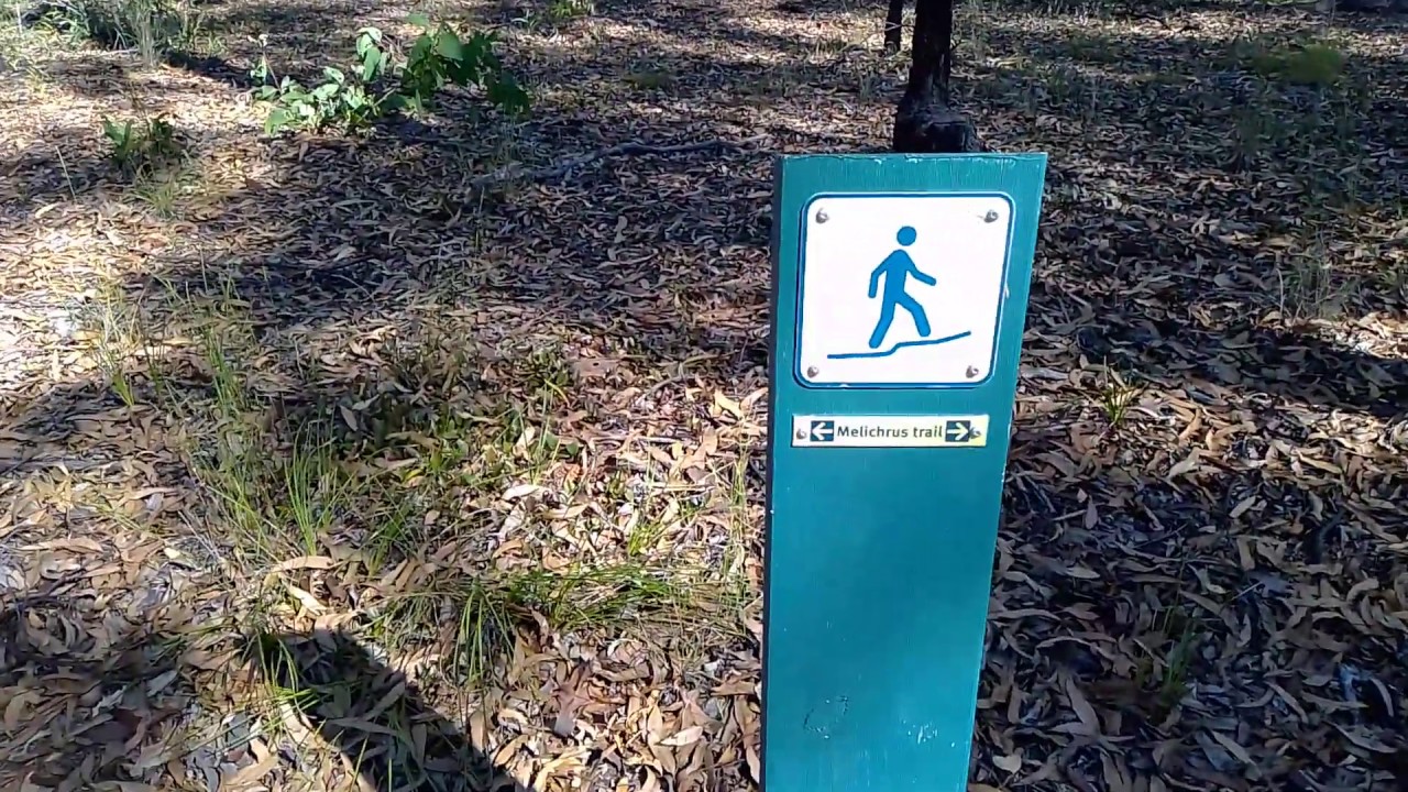 Yarrabilba Yowie Search YouTube