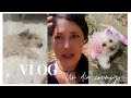 EMPEZANDO CON EL EJERCICIO / #VLOG