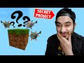 One Block Minecraft me Mera Secret Project...