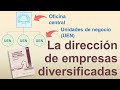 Cap 10 La dirección de empresas diversificadas