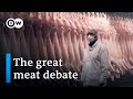 Factory farming animal welfare and the future of modern agriculture  dw documentary