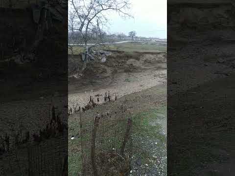 5 фев. 2023г. Мескер-Юрт. Сина т1ай