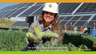 Nextracker Agrivoltaics - The next frontier of solar and agriculture
