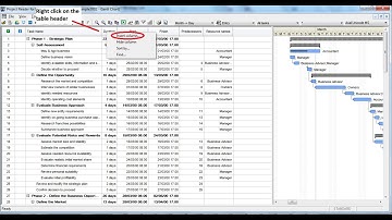Project Reader. The Viewer for Microsoft Project: ADD COLUMN