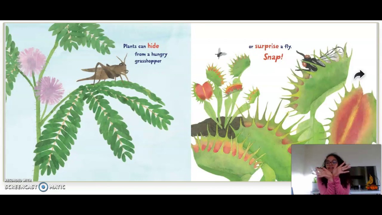 Plants Can't Sit Still Read Aloud YouTube
