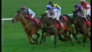 1999 Money Store Rendlesham Limited Handicap Hurdle