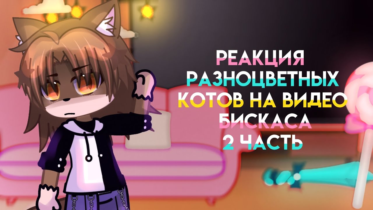 реакция разноцветных котов на видео бискаса часть 2