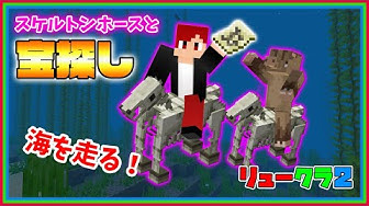 スケルトンホース Youtube
