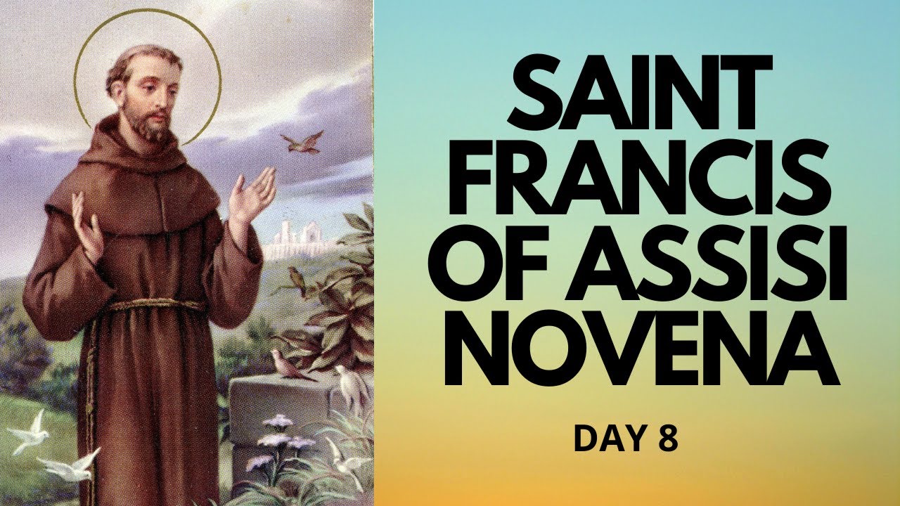 Day 8 Saint Francis of Assisi Novena Catholic Novena YouTube