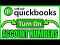 How To TURN ON ACCOUNT NUMBERS In QuickBooks Online (QUICK &amp; EASY) 2026