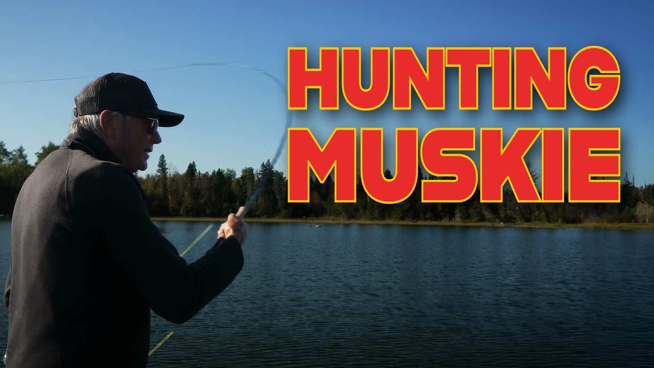 Hunting Muskie in Sunset Country
