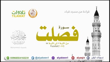 سورة فصلت 1 44   من مسجد قباء الشيخ محمد أيوب رحمه الله