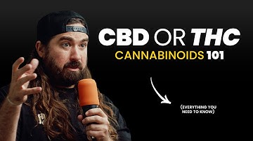 THC, CBD, CBG, CBN Explained | How to Use Cannabinoids the Right Way!