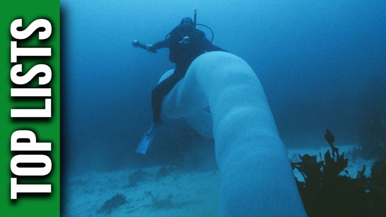 10 Strangest Ocean Phenomena YouTube