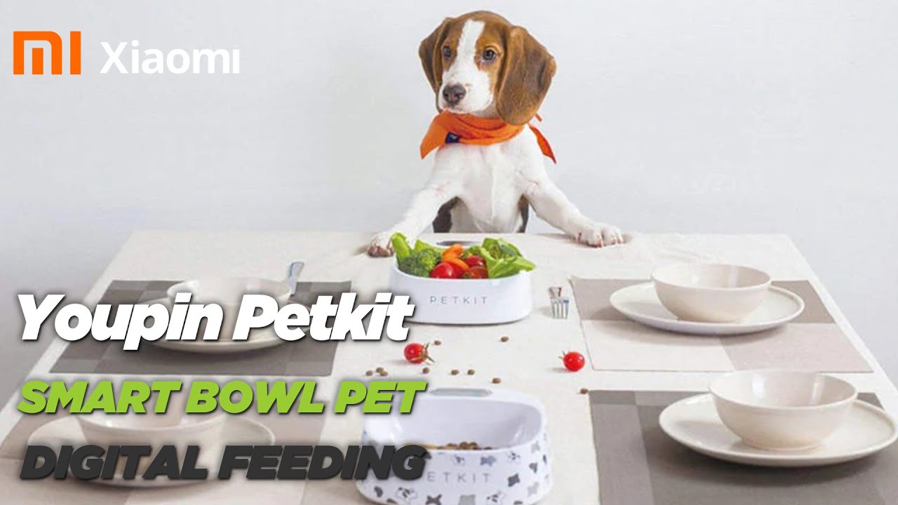 Xiaomi Petkit Smart Purifier