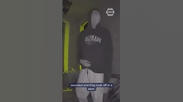 York Regional Police share shocking video of home invasion in Vaughan, Ont.