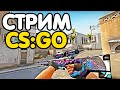 Дорога до 10 уровня фейсит. Играем со зрителями. Розыгрыши. Стрим CSGO