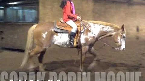 Sodak Robin McCue APHA Mare