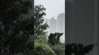 Wait for the transition...🌧️| Monsoon View | #balconyview #rainyday #sukoon #cityvibes #cinematic