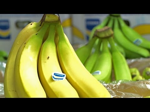 Video: Beeinflusst die Temperatur die Reifung von Bananen?