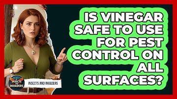 Is Vinegar Safe To Use For Pest Control On All Surfaces? - Insects and Invaders