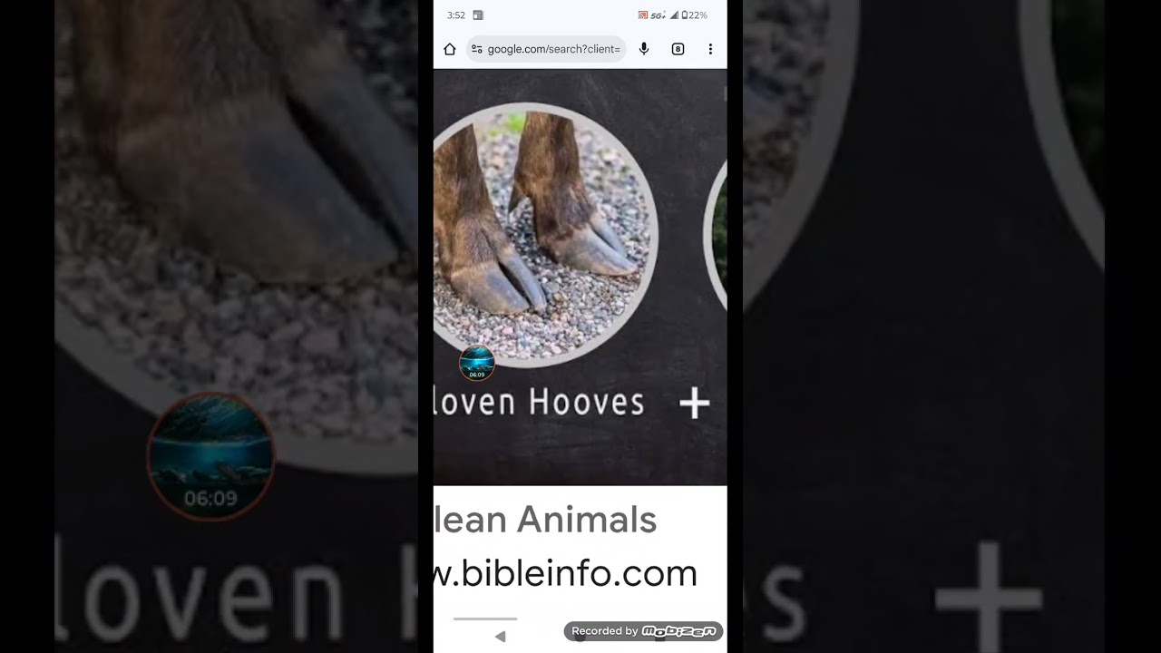 Bacon and ham ban demanded by scientists claiming cancer link in 50,000 'preventable' cases