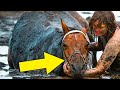 Woman battles for 3 hours to save her stuck horse from rising tide