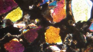 Petrographic Examination by EMSL Analytical, Inc.