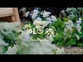 向日葵 / This is LAST：MUSIC VIDEO Behind the Scenes