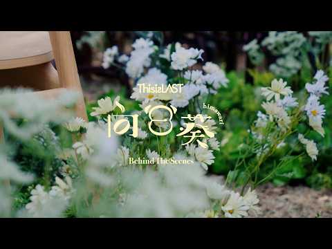 向日葵 / This is LAST：MUSIC VIDEO Behind the Scenes