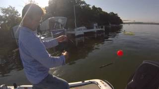 Hooksetter Catching Bluegill in Wisconsin