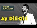 Ahmed Mustafayev - Ay Dili-Dili