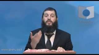 הדף היומי - מסכת מועד קטן דף כו