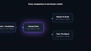 What is Human Preference Data