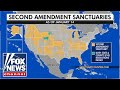 Several states consider becoming 'Second Amendment Sanctuaries'