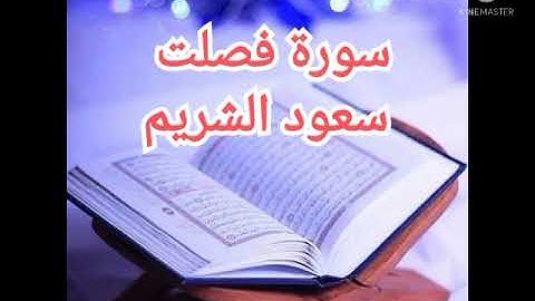 41 - سورة فصلت | سعود الشريم