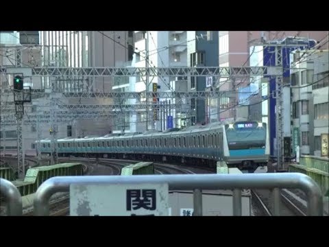 京浜東北線 E233系1000番台 宮サイ110編成 南浦和行 有楽町駅到着