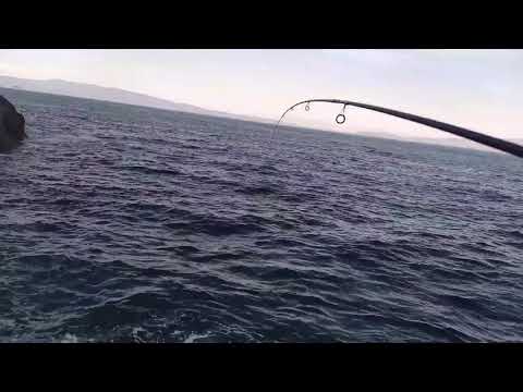 lrf fishing marukyu