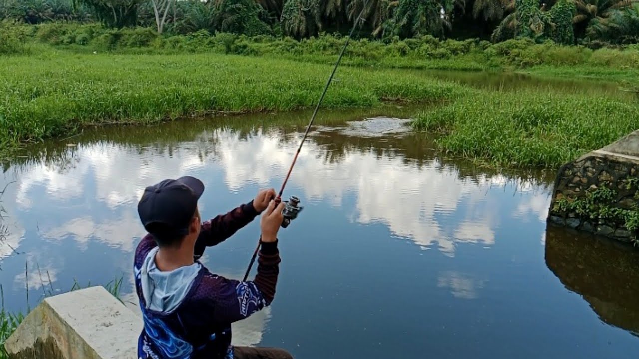 TES UMPAN SABAITZER 5,5 CM KODOK BERKAKI‼️‼️‼️ CASTING HARUAN