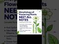 MORPHOLOGY OF FLOWERING PLANTS || NEET NOTES