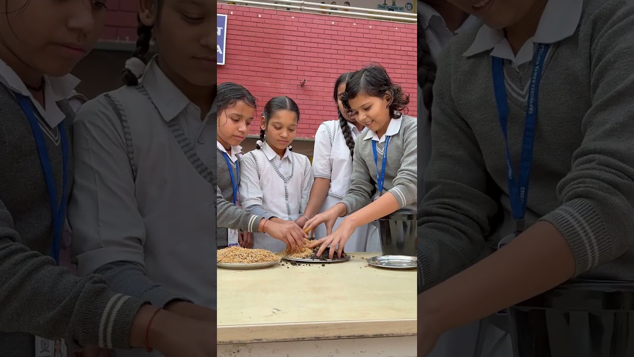 Hath mein mitti, dil mein sur, aaj hariyali ne pukaara #livemusic #communityspirit #volunteernow