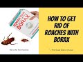 Lutte contre les cafards avec du borax mthodes efficaces pour se dbarrasser des cafards  lutte antiparasitaire diy