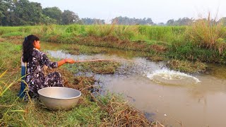 Fishing Video || Expert village girl is catching different types of fish using hook in the canal