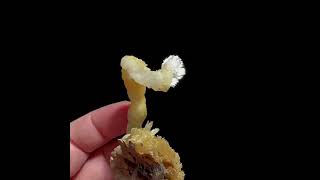 Video preview: Two-Tone White-Yellow Aragonite — Guizhou, China | Natural Mineral Specimen
