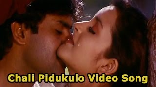 Chali Pidugullo Video Song || Badri Movie || Pawan Kalyan, Amisha Patel, Renu Desai