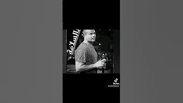 عمرو دياب بالسلامة 
