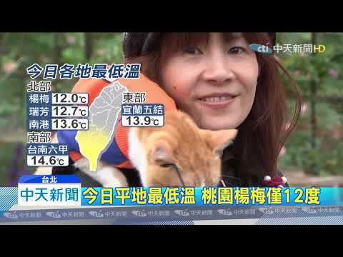 20200329中天新聞　浪漫邂逅！台北花博公園　700品種玫瑰爭奇鬥艷